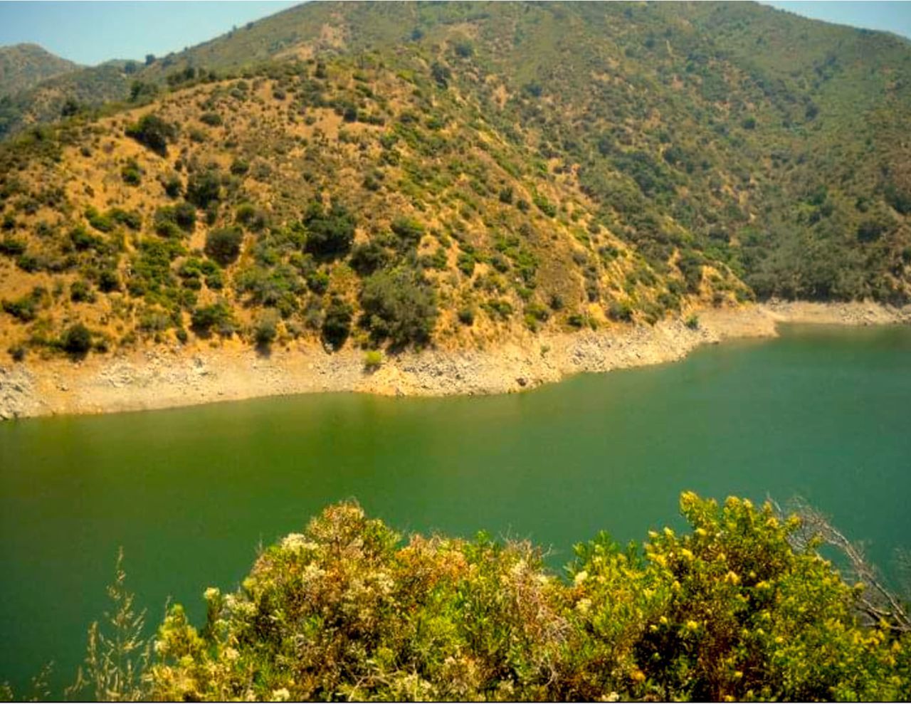 SCENIC VIEW OF LAKE IN FOREST