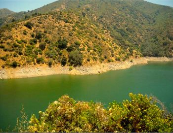 Scenic view of lake amidst trees in forest