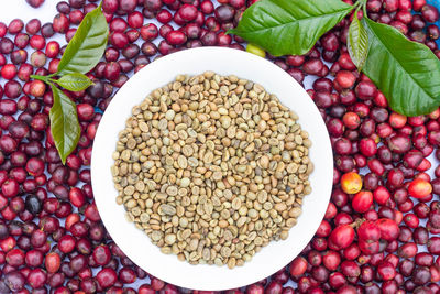 High angle view of fruits in bowl