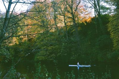 Scenic view of lake in forest during autumn