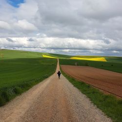 Rear view of man on road amidst field against sky