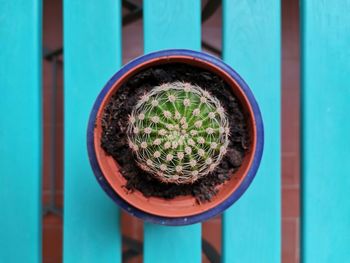 Directly above shot of potted plant on metal wall