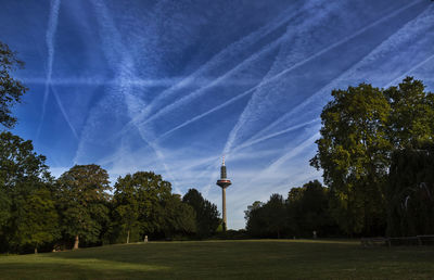 Trees in park against sky