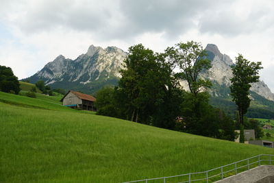 Scenic view of trees and houses against sky