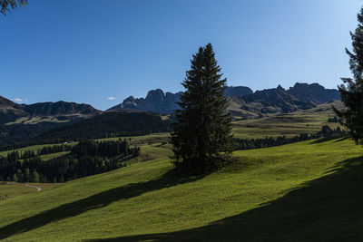 Scenic view of landscape against clear sky