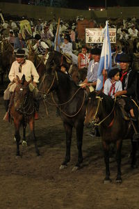 Horses on farm