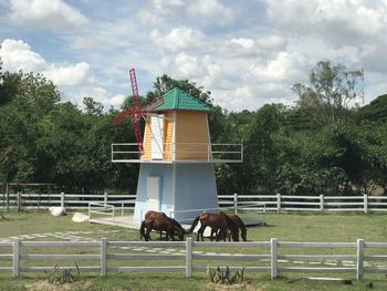 View of a horse against the sky