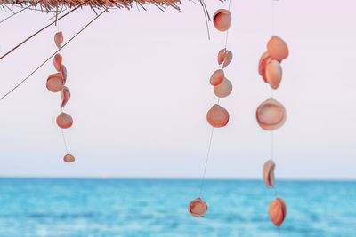 Close-up of fishing net on sea against clear sky