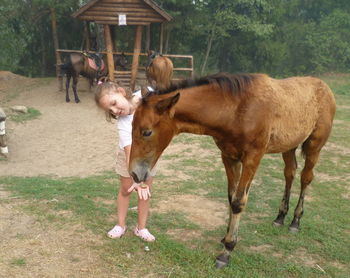Girl feeding horse while standing at farm