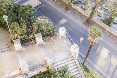 High angle view of wet plants