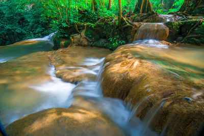 Stream flowing through rocks in forest