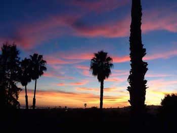 Silhouette of palm trees at sunset