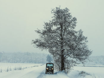 Tree by snow covered land against sky