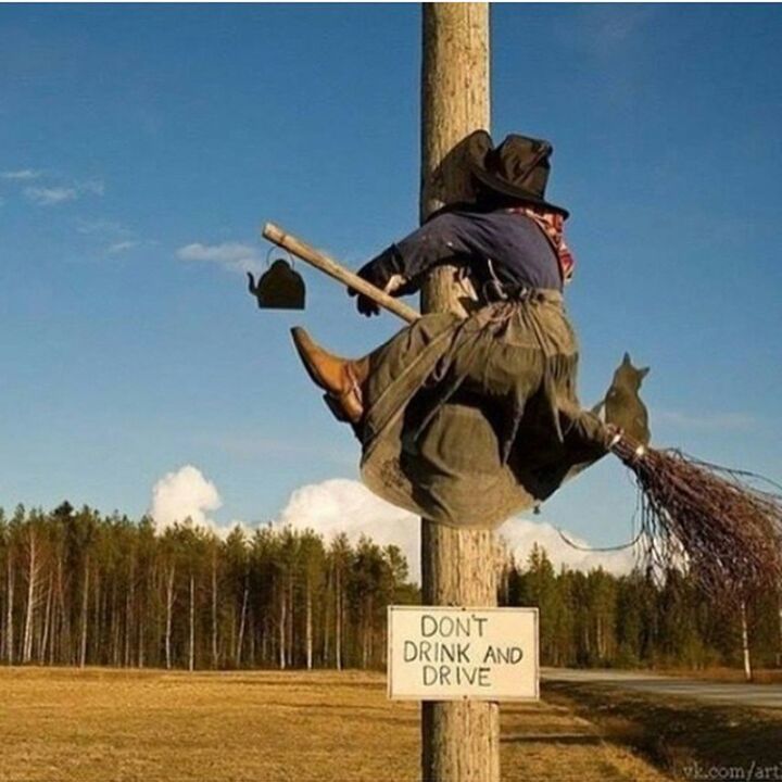 text, communication, western script, sky, blue, clear sky, guidance, road sign, sign, information sign, full length, field, day, low angle view, warning sign, tree, non-western script, pole