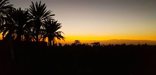 Silhouette palm trees against sky during sunset