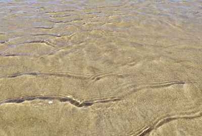 Full frame shot of sea shore