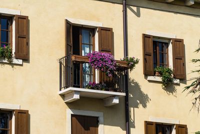 Potted plants on balcony of building