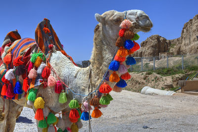 Multi colored animal representation against the sky