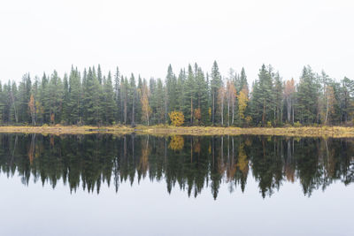 Reflection of trees in lake against sky