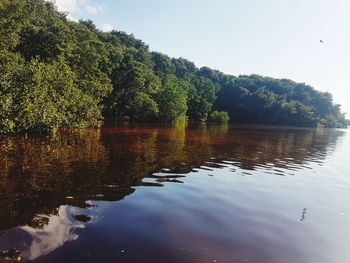 Reflection of trees in lake against sky