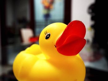 Close-up of rubber duck on table