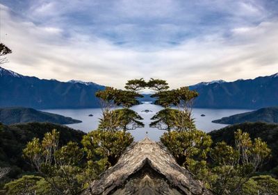 View of trees on landscape against cloudy sky