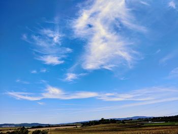 Scenic view of agricultural field against blue sky