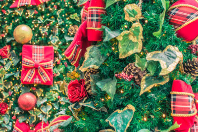 High angle view of christmas tree in box