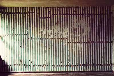 Row of trees in the dark