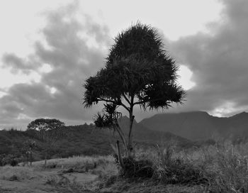 Scenic view of field against cloudy sky