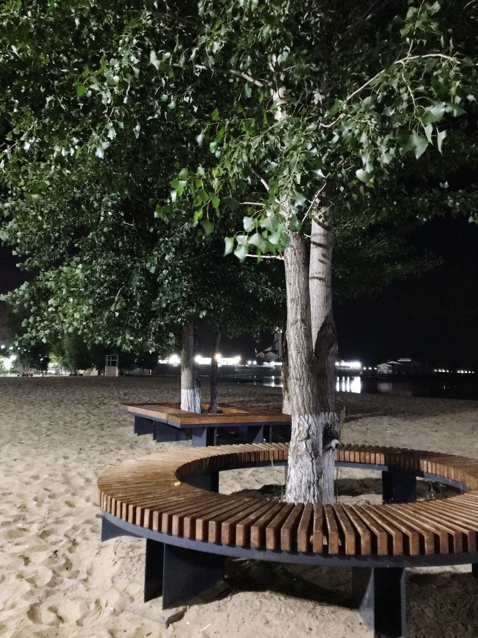 tree, plant, nature, water, bench, seat, no people, park, day, trunk, tree trunk, absence, tranquility, growth, beauty in nature, outdoors, park - man made space, wood - material, land, park bench