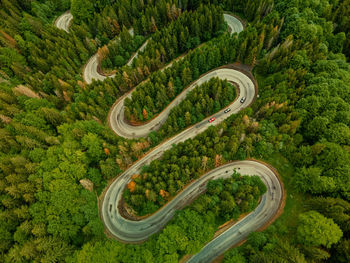 High angle view of road amidst trees
