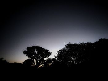 Low angle view of silhouette trees against clear sky at night