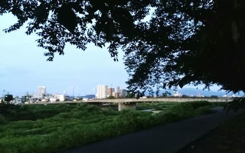 Road amidst trees and buildings against sky