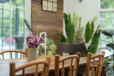 Close-up of potted plant on table