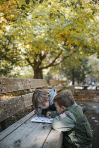 Brothers reading book on bench at yosemite national park