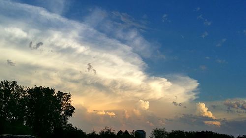 Low angle view of silhouette trees against sky