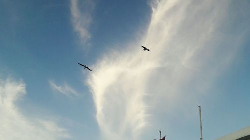 Low angle view of airplane flying against sky