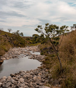 Scenic view of rocks by trees against sky