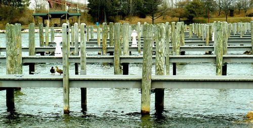 Wooden pier in sea