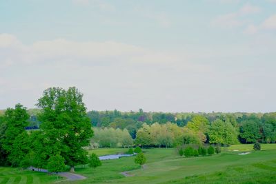 Scenic view of green field and trees against sky