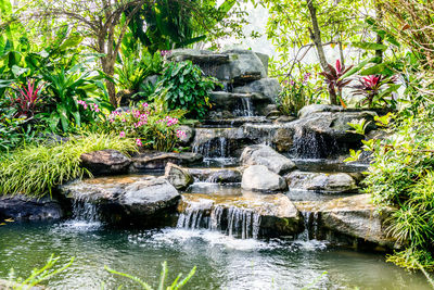 Stream flowing through rocks in forest