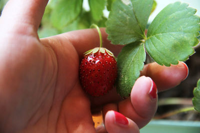 Close-up of hand holding strawberry over water