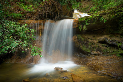 Scenic view of waterfall in forest