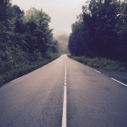 Empty road along trees