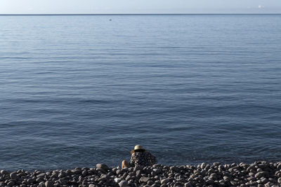 Scenic view of sea