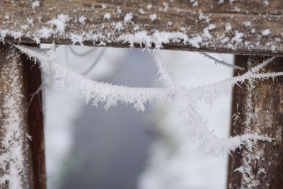 Close-up of icicles