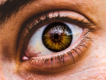 Close-up portrait of man eye