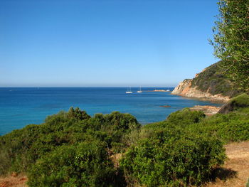 Scenic view of sea against clear blue sky