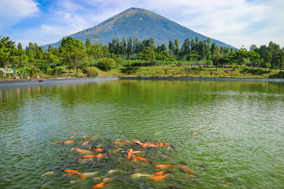 Scenic view of lake and mountains